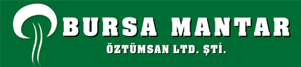 Bursa Mantar